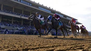 Breeders’ Cup Classic 2023 free live stream: How to watch, post positions, time, channel and odds