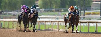 Breeders' Cup Classic 2023: Win, place, show, exacta, trifecta and superfecta picks