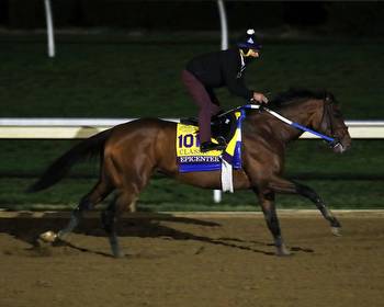 Breeders’ Cup: Classic Contenders Continue Prep
