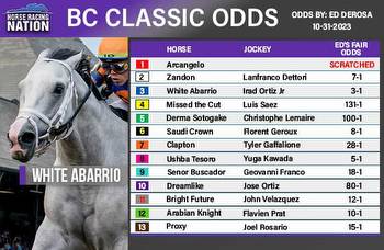 Breeders’ Cup Classic fair odds: Long shots offering most value