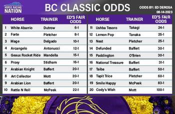 Breeders' Cup Classic fair odds: White Abarrio rockets to top