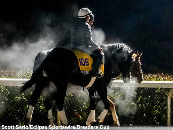 Breeders' Cup Classic Notes & Pics: Mott Warns Olympiad 'Is Very, Very Good'
