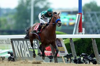 Breeders' Cup Classic Odds: Win, Place & Show Predictions