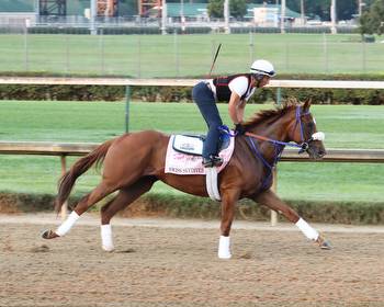 Breeders’ Cup: Classic or Distaff for Swiss Skydiver?