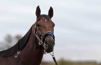 Breeders’ Cup Classic winner Flightline is retired to stud