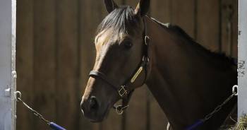 Breeders' Cup contender Practical Move dies after a gallop at Santa Anita. Arcangelo out of Classic