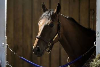 Breeders' Cup contender Practical Move dies after a morning gallop at Santa Anita