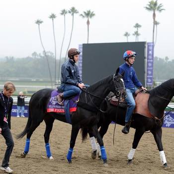 Breeders' Cup Entries: Big-Name Horses You Need to Know About