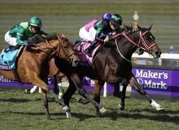 Breeders’ Cup Filly & Mare Turf 2022 Vegas Odds, Trends & Pick