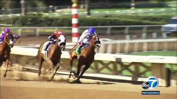 Breeders' Cup: Geaux Rocket Ride becomes 2nd horse to die at Santa Anita in 2 days