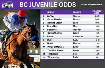Breeders' Cup Juvenile fair odds: Who can move forward?