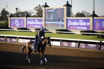 Breeders' Cup Juvenile Turf Sprint: Odds, Best Bets, Wagers and More