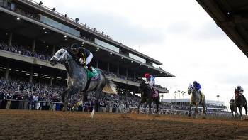 Breeders' Cup: Knicks Go wins horse racing event