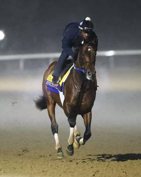 Breeders' Cup Notebook: A Look-In at Classic Contenders