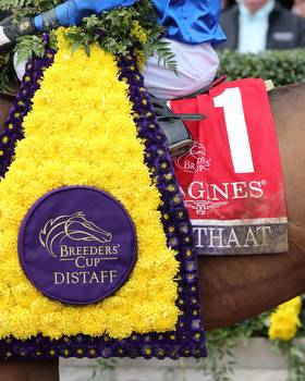 Breeders' Cup Notebook: The "Math" of the Aftermath