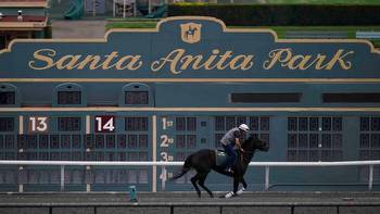 Breeders’ Cup picks and entries for Saturday’s races