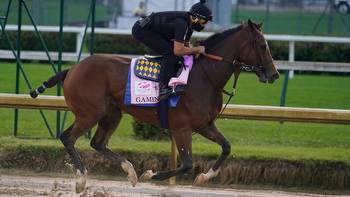 Breeders' Cup races: Picks to win and horses to avoid while betting