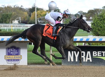 Breeders' Cup Runner-Up Jody's Pride Takes Next Step on Oaks Trail