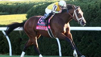 Breeders' Cup Saturday: Some wagering options to ponder