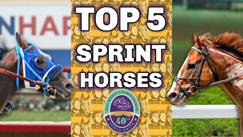 Breeders' Cup Sprint Contenders Top 5