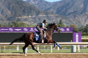 Breeders' Cup World Championships feature some of the world's best horses
