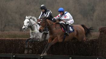 Brendan Powell looking forward to riding War Lord in the Haldon Gold Cup