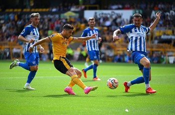 Brighton & Hove Albion vs Wolverhampton Wanderers Prediction and Betting Tips