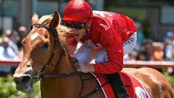 Brooklyn Hustle to have her 13th crack at a Group 1 win in Kingsford-Smith Cup