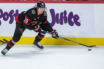 Bruins vs Senators Prediction NHL Picks 1/25/24