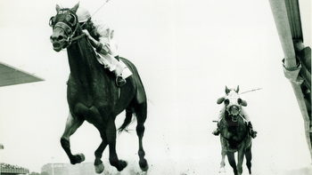 Buckpasser: The Hall of Fame Racehorse With a Nonchalant Attitude