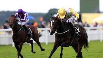 Burke expects better at Ascot from Quiet Reflection