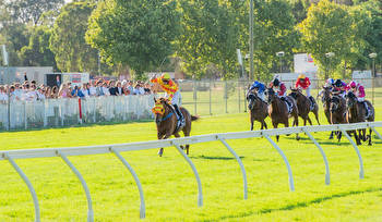 Buster bashes the Perth Cup field