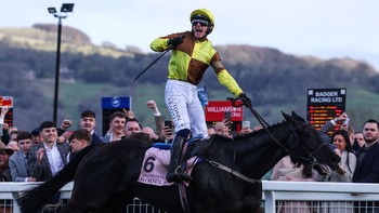 but less than half of Cheltenham Gold Cup winners are successful on their next season return