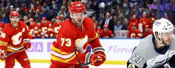 Calgary Flames vs Florida Panthers 11/19/2022 Picks Predictions