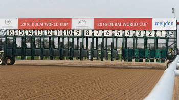 California Chrome Set to Conquer Dubai World Cup 2016