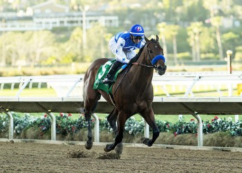 California seeks a Derby horse in San Felipe Stakes