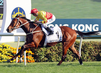 California Spangle Passes Test in HK Classic Cup