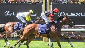 Cameron Happ analyses the Flemington Standish Handicap meeting and delivers his blackbookers