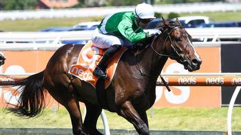 Cameron Happ analyses Zipping Classic day at Sandown