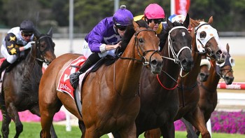 Cameron Happ's black bookers for Cranbourne Cup Day