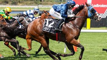 Cameron Happ's blackbookers, forgives and forgets from Sandown