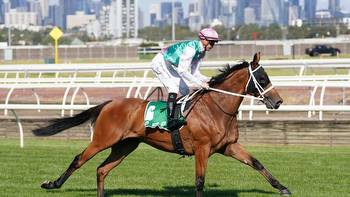 Cameron Happ's horses to follow and forget from Saturday's Flemington meeting