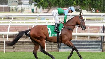 Cameron Happ's horses to follow and forgive from Flemington's meeting
