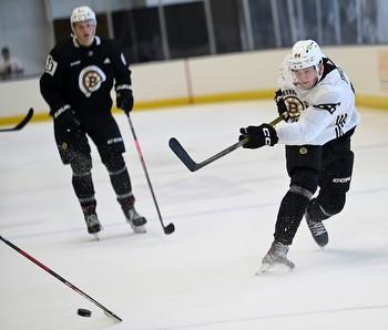 Can any Bruins prospects carve out a roster spot during camp?