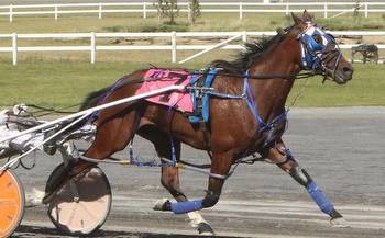 Can anyone upset Virtual Horizon in Western Canada Pacing Derby eliminations?