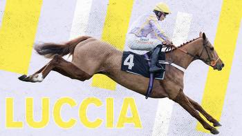 can Luccia bounce back in the Top Novices' Hurdle?