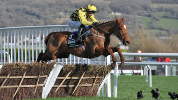 Can State Man win the Champion Hurdle at the Cheltenham Festival?