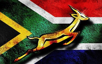 Can the Springboks get back-to-back wins?