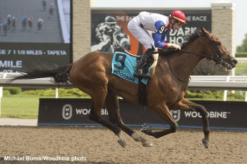 Canadian Triple Crown: Sir For Sure Tabbed Morning-Line Favorite In Prince Of Wales Stakes