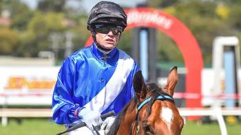 Canterbury preview: Craig Williams makes a quick Sydney visit for Queen Of Dragons